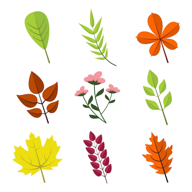 Vecteur simple floral diverses feuilles