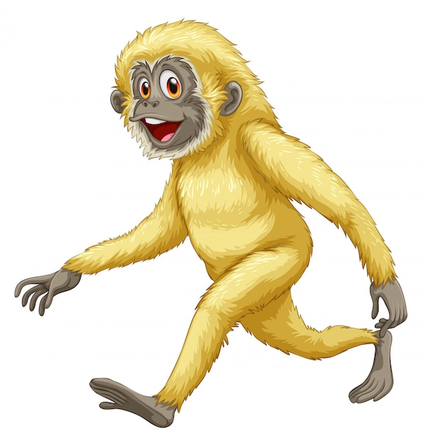 Un Singe Jaune