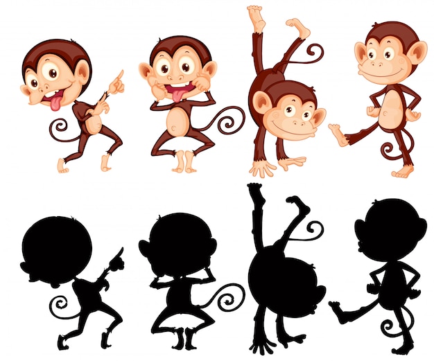 Singe avec sa silhouette