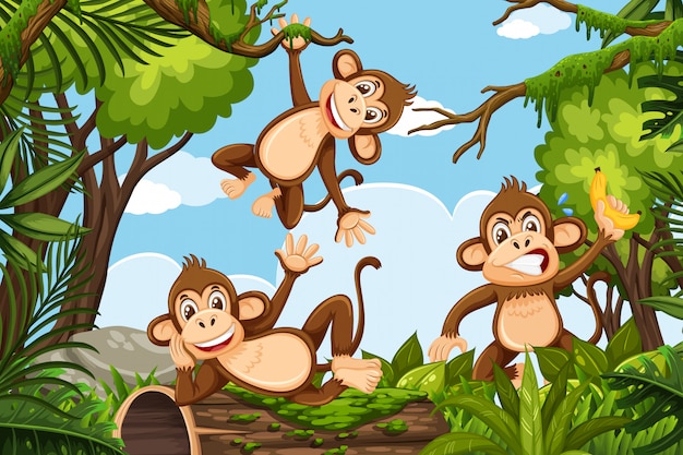 Vecteur singes amusants dans la scène de la jungle