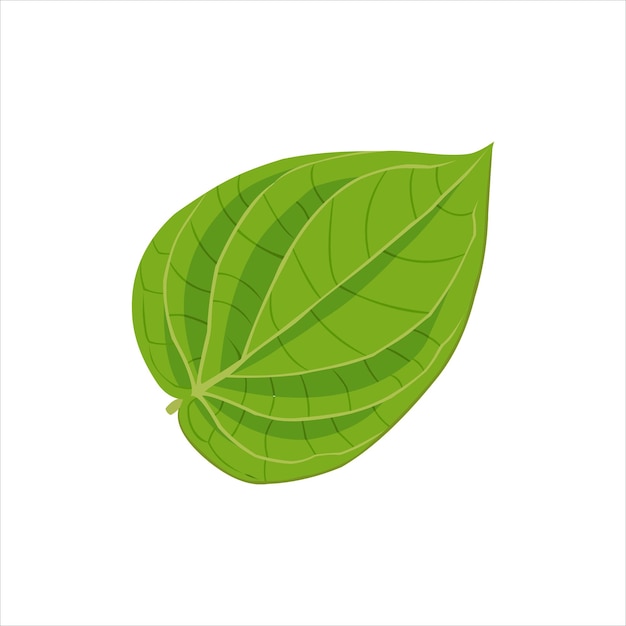 Vecteur sirih betel green leaf vector design plat graphique illustration 2d hd