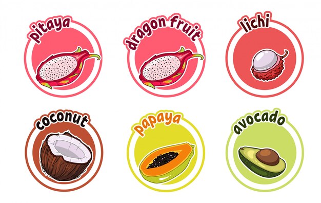 Six Autocollants Avec Différents Fruits. Fruit Du Dragon, Lichi, Noix De Coco. Papaye Et Avocat.