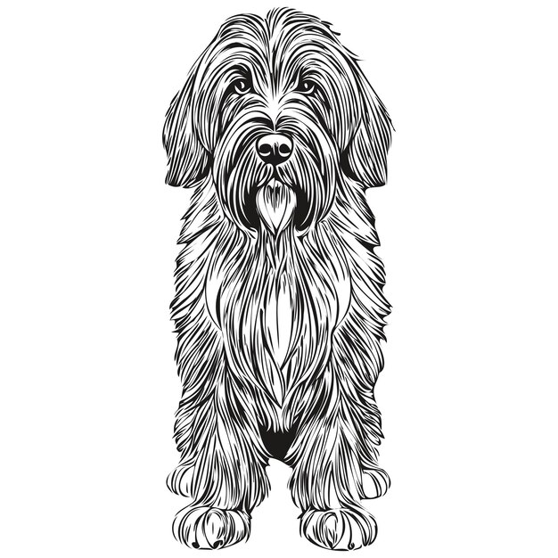 Sketch d'animal de compagnie de Briard illustration de gravure vectorielle en noir et blanc silhouette réaliste d'animaux de compagnie