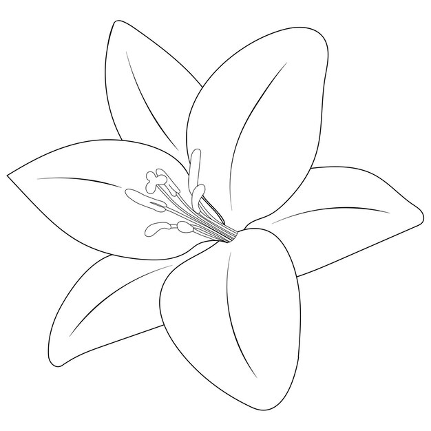 Vecteur sketch de fleur d'été style doodle imprimé floral