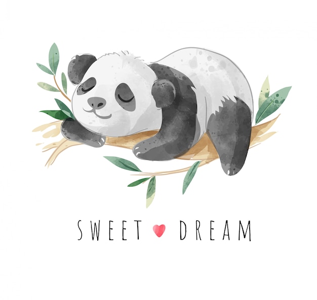 Slogan De Doux Rêve Avec Illustration De Panda Endormi