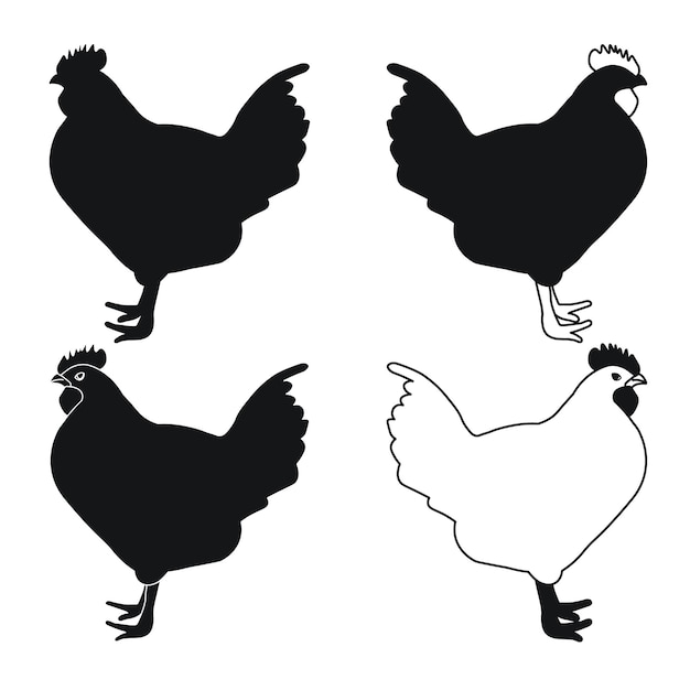 Vecteur sock coq coq poulet poule poussin position debout silhouette de volaille dessinée à la main