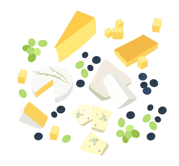 Vecteur sortes de fromage. composition gourmande assortiment nature aux olives et raisins