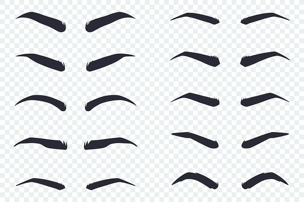 Vecteur sourcils masculins et féminins de différentes formes