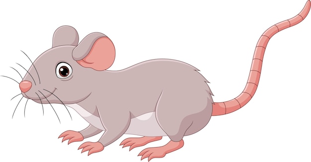 Souris mignonne de dessin animé sur fond blanc