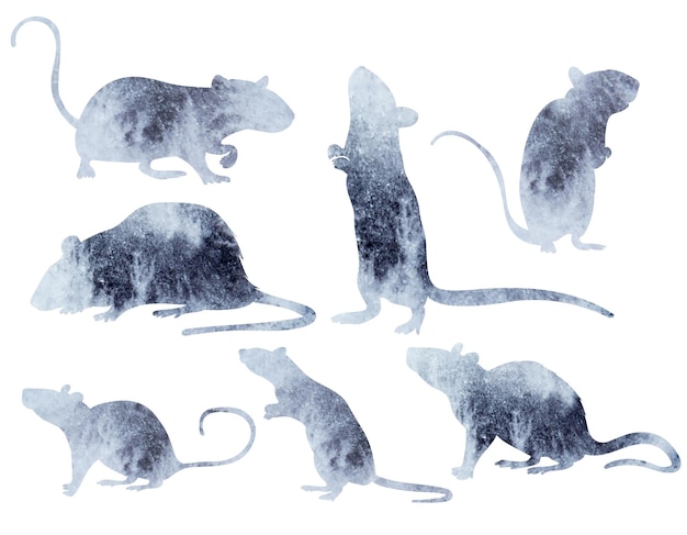 Souris, Rat Mis En Silhouette Aquarelle, Ensemble, Isolé, Vecteur