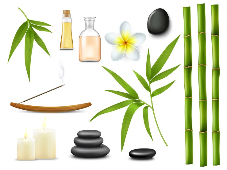 Vecteur spa et salon de massage relaxants