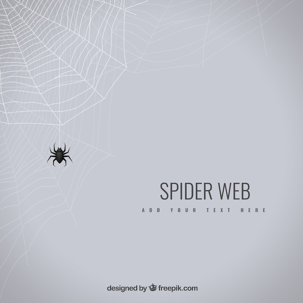 Vecteur spider web background