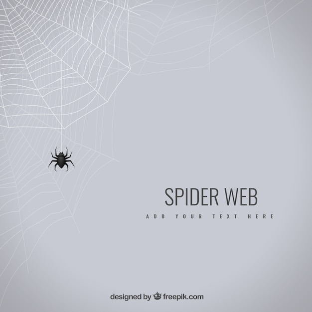 Spider Web Background