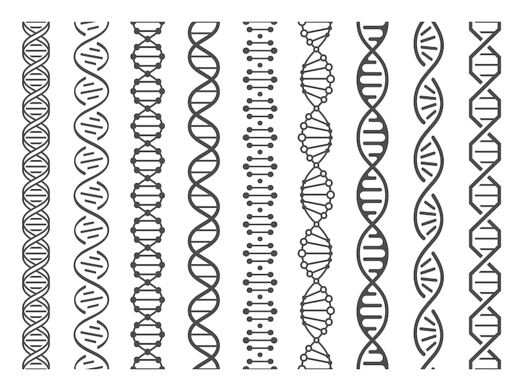 Vecteur spirale d'adn sans soudure. structure de l'hélice adn, modèle génomique et ensemble d'illustration de modèle de code de génétique humaine
