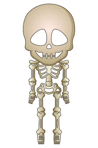 Vecteur squelette de dessin animé