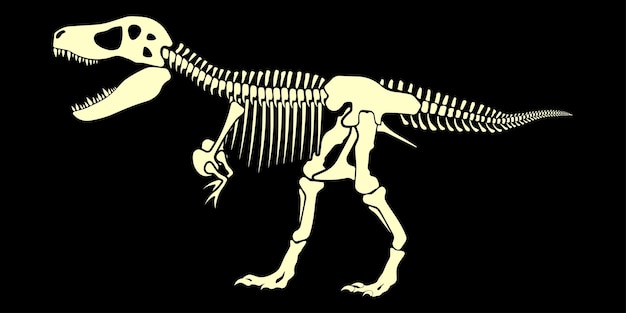 Squelette fossile de dinosaure TRex Illustration de l'éducation