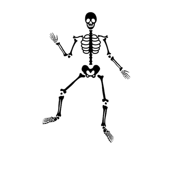 Vecteur squelette d'os effrayant halloween