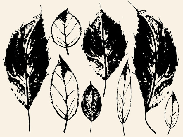 Squelette de veine de feuille sèche en gros plan Pattern avec des feuilles d'automne pourrissant des feuilles sèches automne réaliste