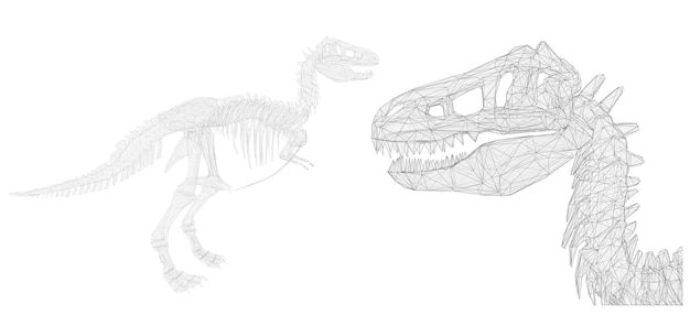 Squelette Volumétrique Tridimensionnel Du Dinosaure Dans Le Vecteur De Style Trianulyatornom Pour La Conception