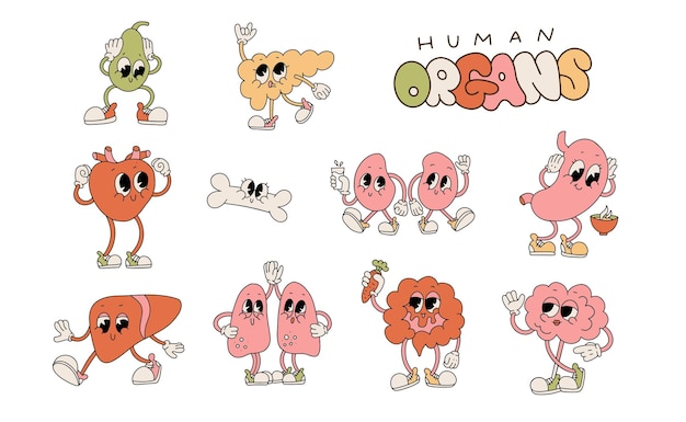 Ss Personnages D'organes Mignons De Dessin Animé Rétro Mis En Bonne Santé Organes Humains Drôles Poumons Rénaux Et Cerveau S