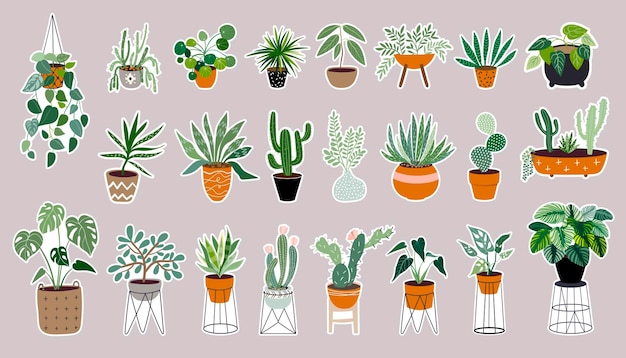 Vecteur stickers plantes tropicales grande collection différents types de cactus et succulentes