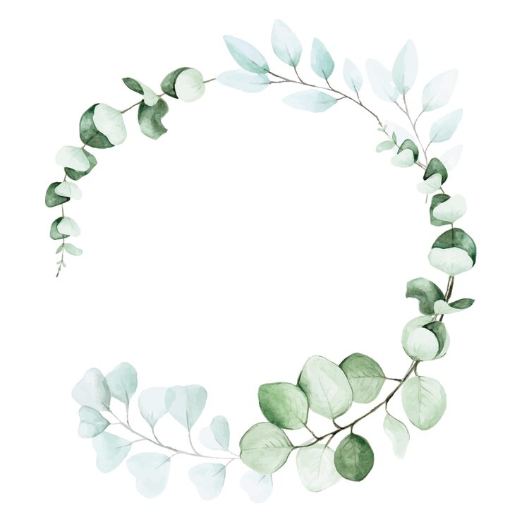 Vecteur stock illustration aquarelle dessin cadre rond de feuilles d'eucalyptus