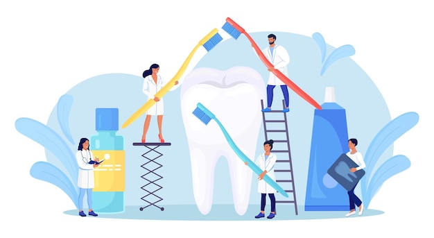 Vecteur stomatologie, dentisterie. de minuscules dentistes debout autour de grosses dents et nettoyant, traitant des dents malsaines avec une carie. les médecins se brossent les dents, nettoient la plaque. examen dentaire. rendez-vous chez le dentiste