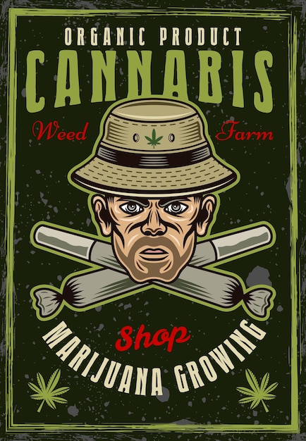 Vecteur stoner hommes tête en chapeau de seau et croisés roulés blunts vintage coloré affiche décorative pour la société de culture de marijuana illustration vectoriel avec textures grunge et texte sur des calques séparés