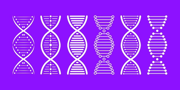 Structure de l'ADN Ensemble d'icônes Structure molécule et chromosome cellulaire Génie génétique
