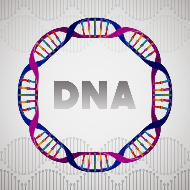 Structure Circulaire De La Molécule D'adn