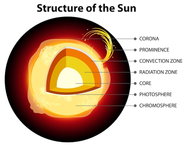 Vecteur la structure du soleil