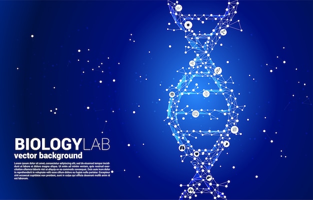 Structure Génétique De L'adn Vectoriel Du Polygone De Ligne De Connexion De Points. Concept De Biotechnologie Et De Biologie Scientifique.