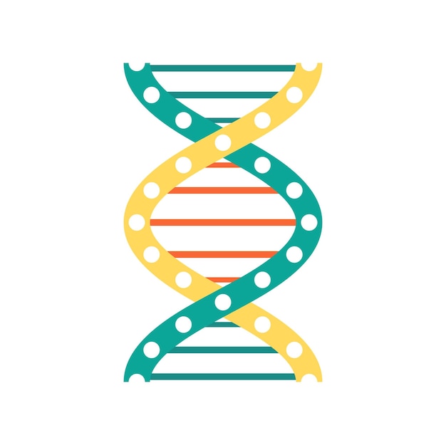 Structure en hélice code génétique molécule d'ADN torsadée