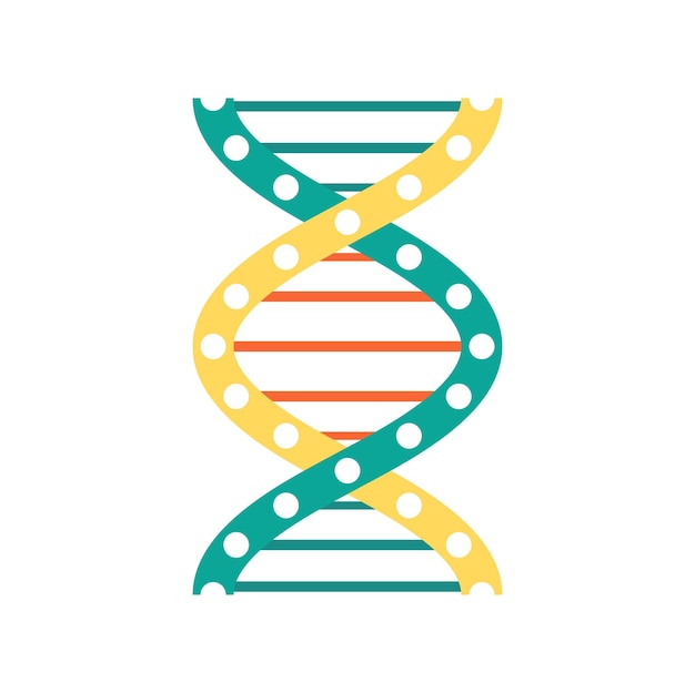 Structure En Hélice Code Génétique Molécule D'adn Torsadée