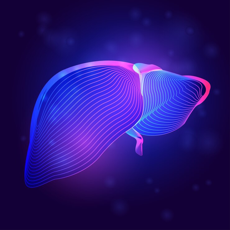 Vecteur structure médicale du foie humain. aperçu de l'anatomie des organes de la partie du corps dans le style d'art en ligne 3d sur fond abstrait néon