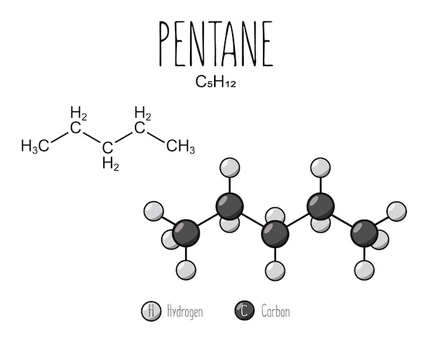 Structure squelettique du pentane et représentation du modèle plat isolée sur un fond blanc vectoriel modifiable