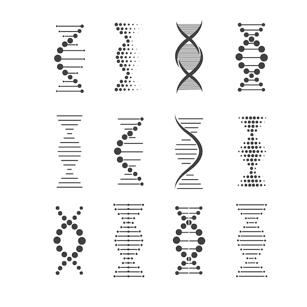 Vecteur structures d'adn dans différentes