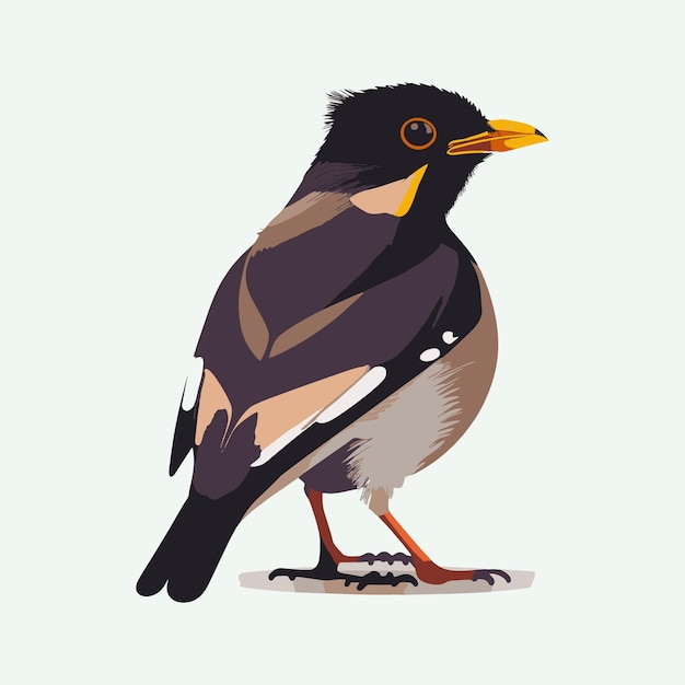 Vecteur style de dessin animé mignon vecteur myna