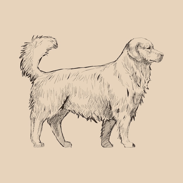 Style De Dessin D'illustration De Chien