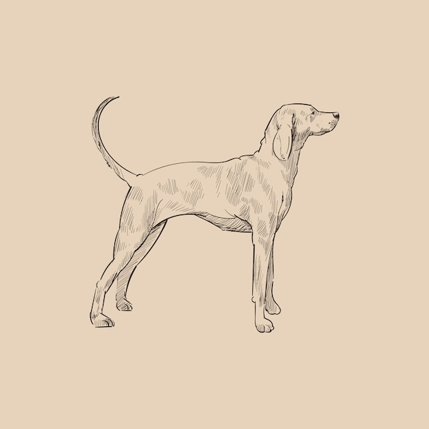 Style De Dessin D'illustration De Chien