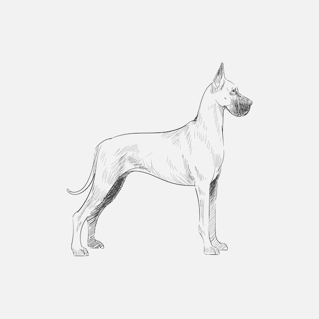 Vecteur style de dessin d'illustration de chien