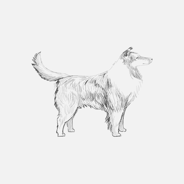 Vecteur style de dessin d'illustration de chien