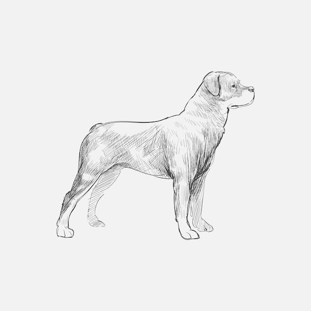 Vecteur style de dessin d'illustration de chien