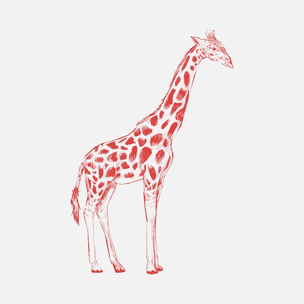 Style De Dessin D'illustration De Girafe