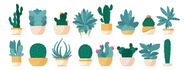 Vecteur succulent dans un pot de fleurs cactus de dessin animé dans des pots avec des fleurs plantes du désert vertes dans des récipients vintage pour la décoration de la maison set isolé vectoriel