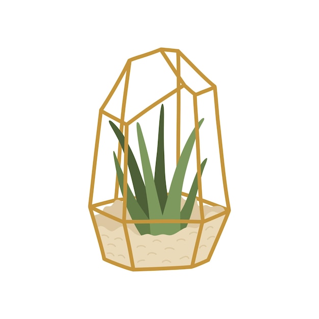 Succulent Dans Un Terrarium Géométrique Doré, Plante D'intérieur élégante Dessinée à La Main Dans Un Style De Doodle Plat, Décor Intérieur Scandinave. Cactus Coloré Mexicain. Illustration Vectorielle Isolée Sur Fond Blanc.