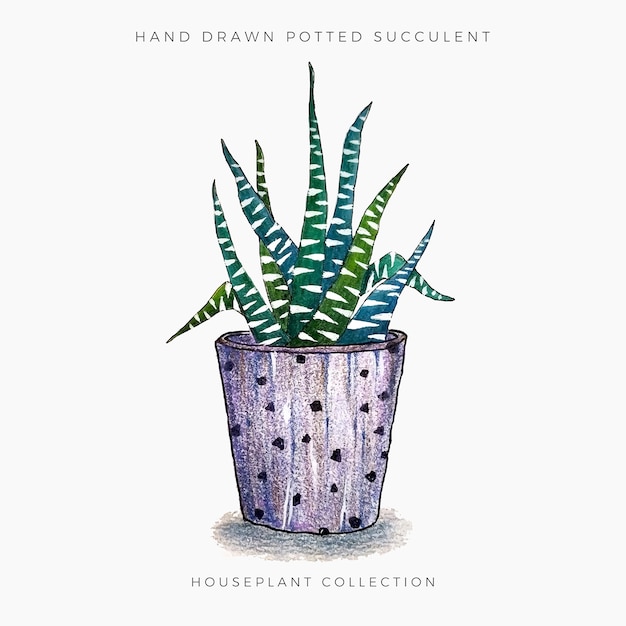 Vecteur succulent en pot 1