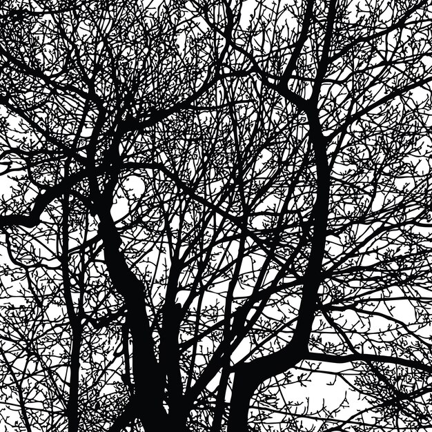 Vecteur sulhouettes de branches d'arbres en hiver
