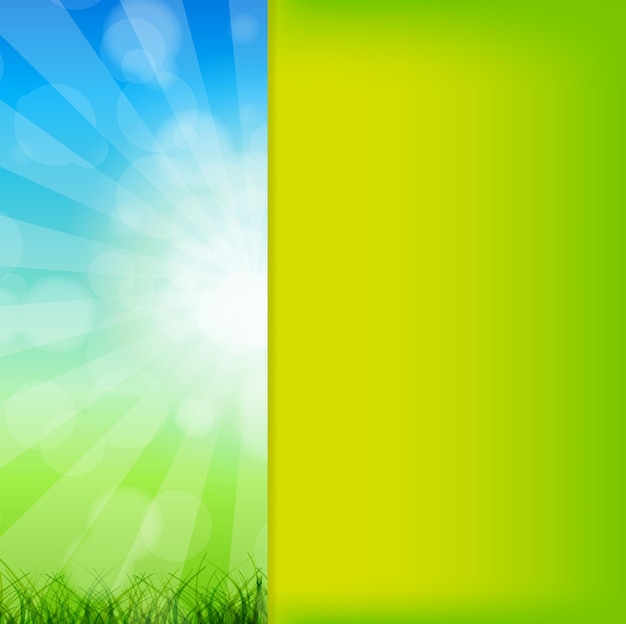 Summer Abstract Background avec de l'herbe et de la camomille contre sunn