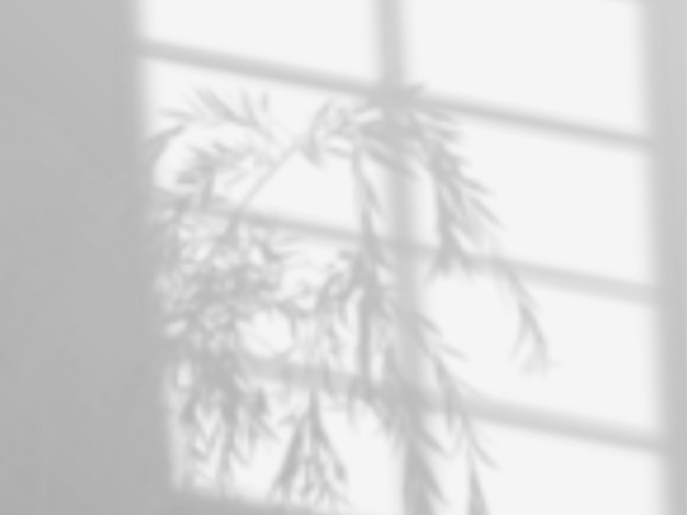 Vecteur superposition d'ombres moderne, superbe design pour tous les usages. ombre douce floue de la fenêtre et branches de plantes à l'extérieur de la fenêtre. ombres naturelles isolées sur fond transparent.